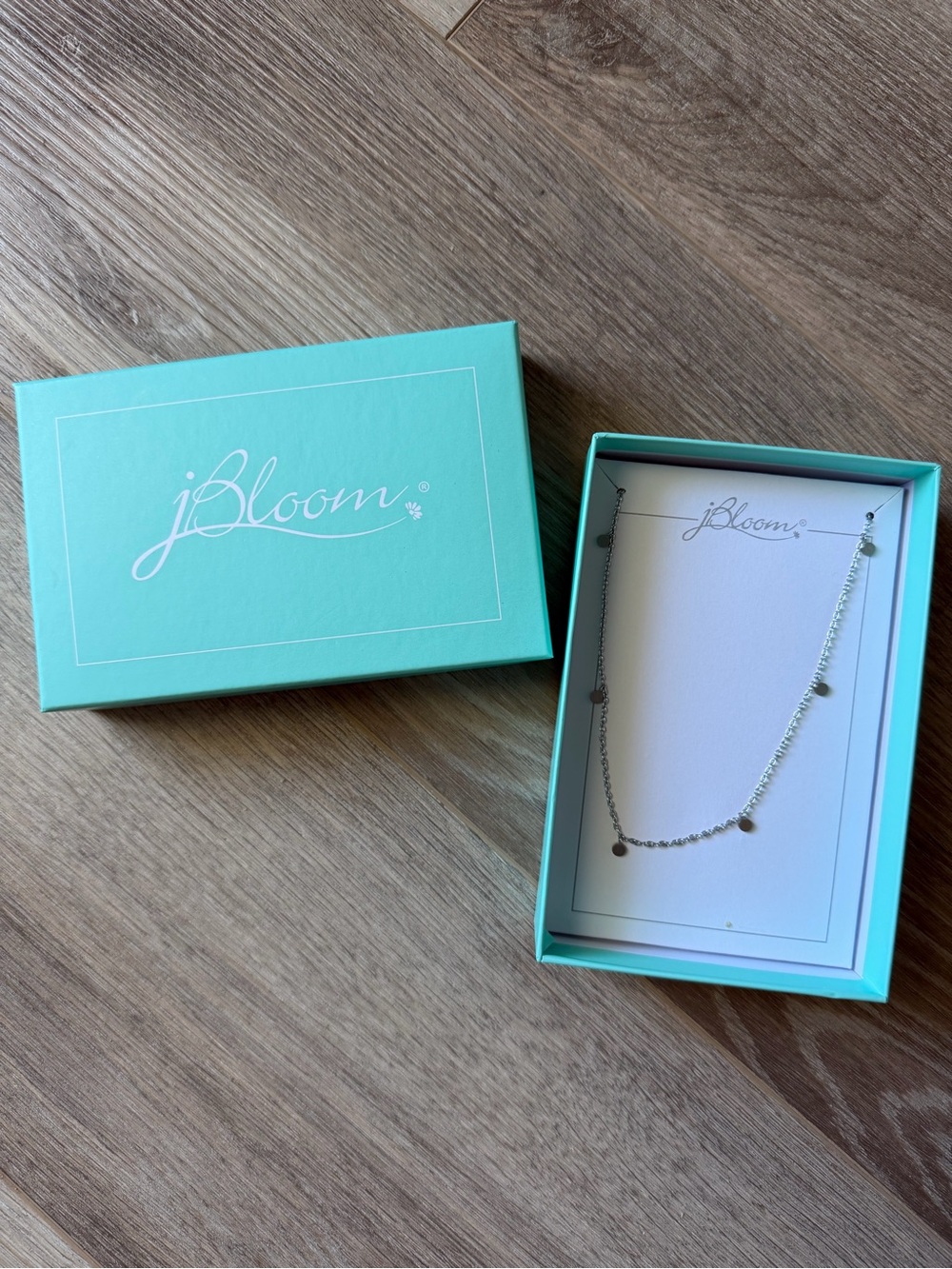 J bloom Silver Disc Station Necklace - Silver NWOT